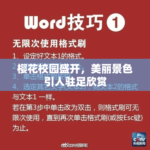 樱花校园盛开，美丽景色引人驻足欣赏