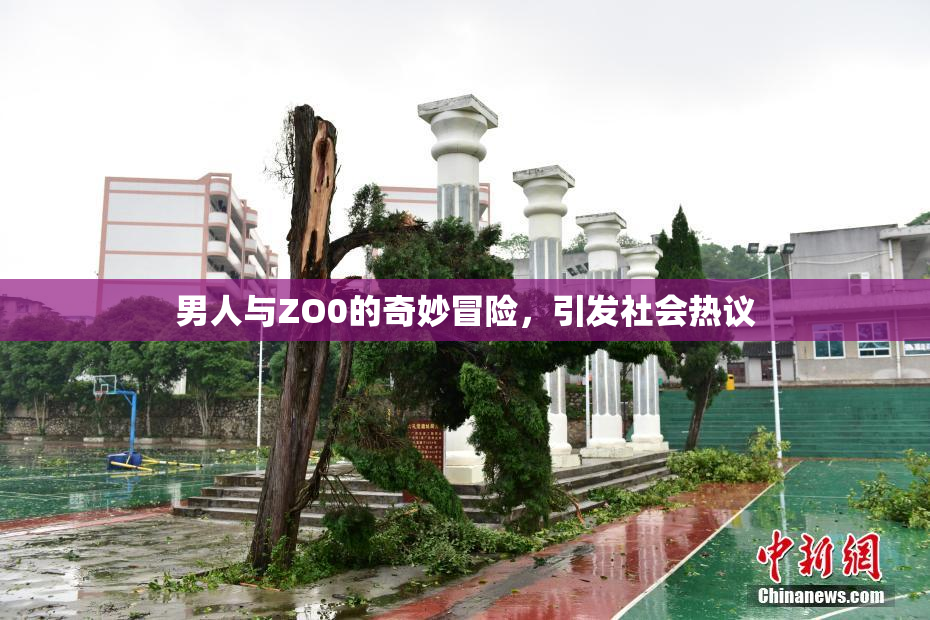 男人与ZO0的奇妙冒险，引发社会热议