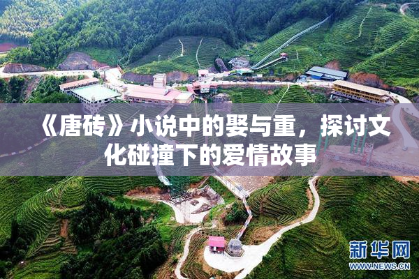 《唐砖》小说中的娶与重，探讨文化碰撞下的爱情故事