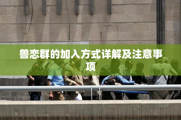 兽恋群的加入方式详解及注意事项