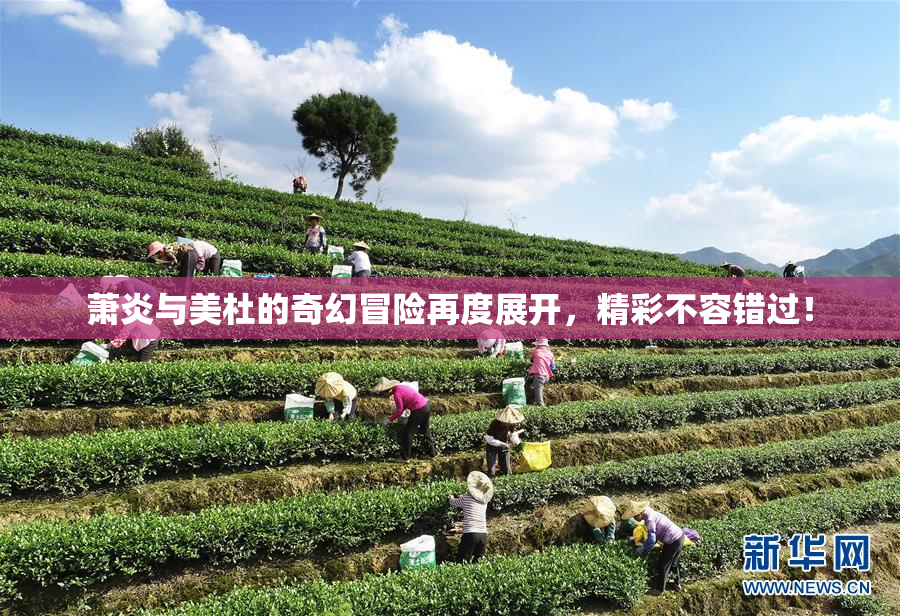萧炎与美杜的奇幻冒险再度展开，精彩不容错过！