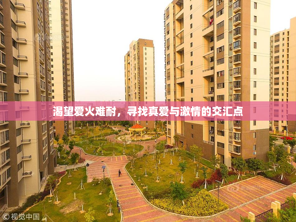 渴望爱火难耐，寻找真爱与激情的交汇点