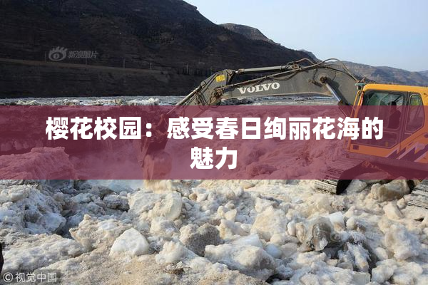 樱花校园：感受春日绚丽花海的魅力