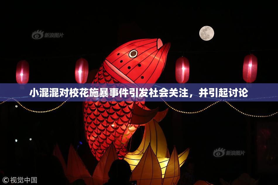 小混混对校花施暴事件引发社会关注，并引起讨论