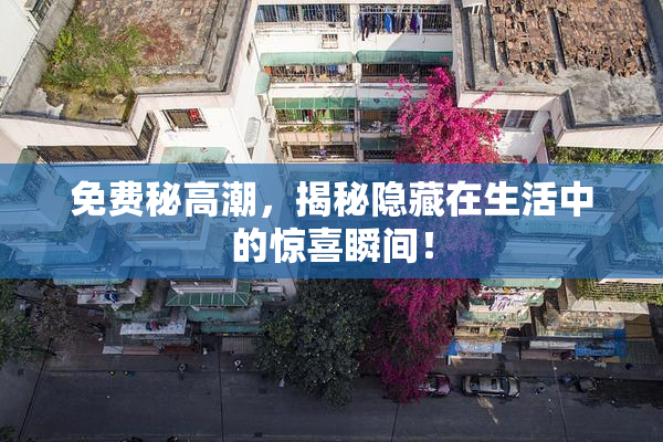 免费秘高潮，揭秘隐藏在生活中的惊喜瞬间！