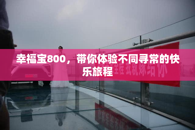 幸福宝800，带你体验不同寻常的快乐旅程