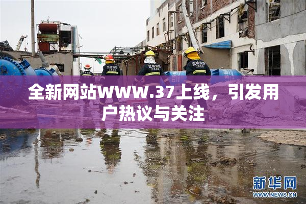 全新网站WWW.37上线，引发用户热议与关注