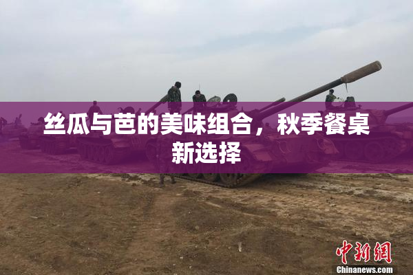 丝瓜与芭的美味组合，秋季餐桌新选择