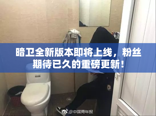 暗卫全新版本即将上线，粉丝期待已久的重磅更新！