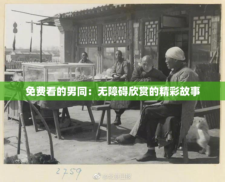 免费看的男同：无障碍欣赏的精彩故事