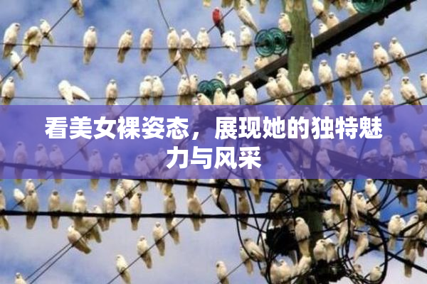 看美女裸姿态，展现她的独特魅力与风采