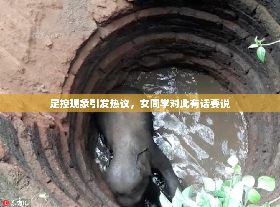 足控现象引发热议，女同学对此有话要说