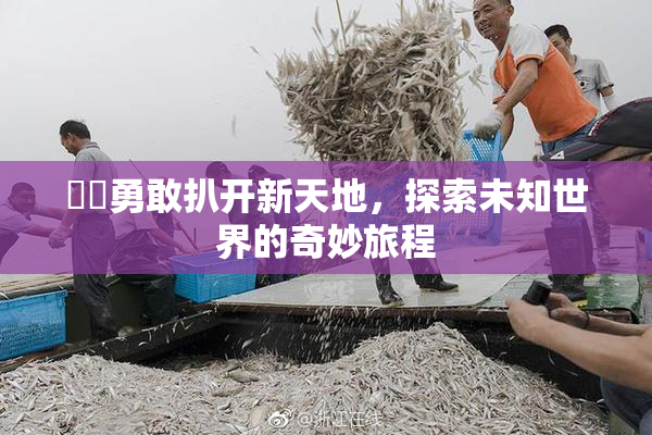 妺妺勇敢扒开新天地，探索未知世界的奇妙旅程