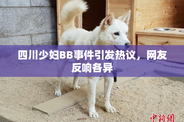 四川少妇BB事件引发热议，网友反响各异