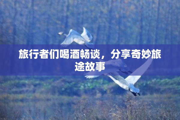 旅行者们喝酒畅谈，分享奇妙旅途故事