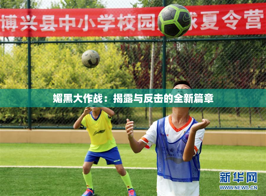 媚黑大作战：揭露与反击的全新篇章