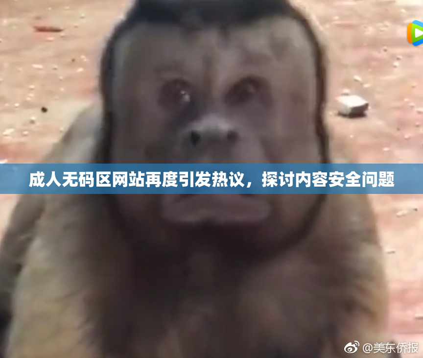 成人无码区网站再度引发热议，探讨内容安全问题