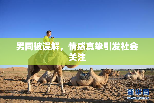 男同被误解，情感真挚引发社会关注