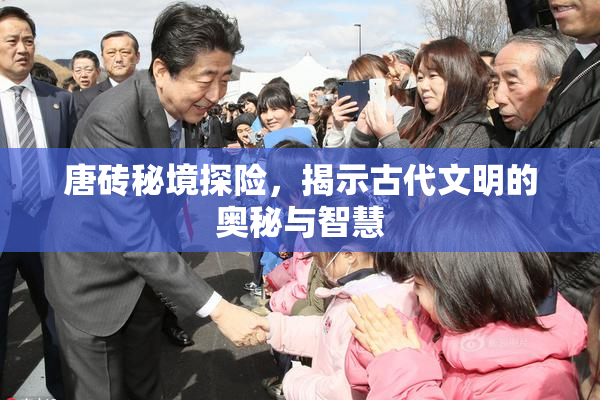 唐砖秘境探险，揭示古代文明的奥秘与智慧
