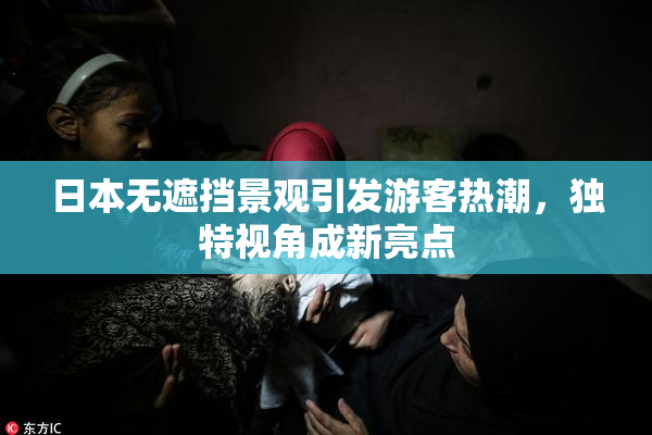 日本无遮挡景观引发游客热潮，独特视角成新亮点