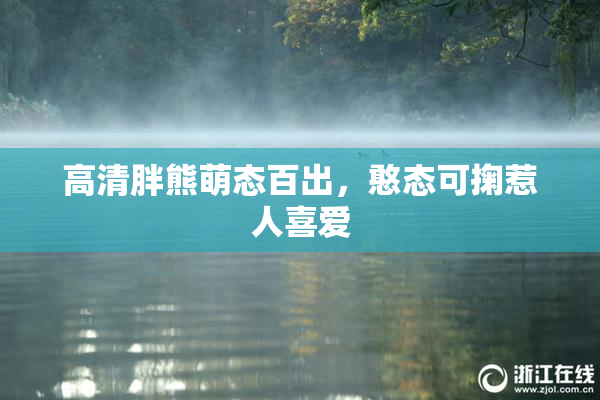 高清胖熊萌态百出，憨态可掬惹人喜爱