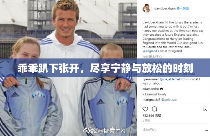 乖乖趴下张开，尽享宁静与放松的时刻