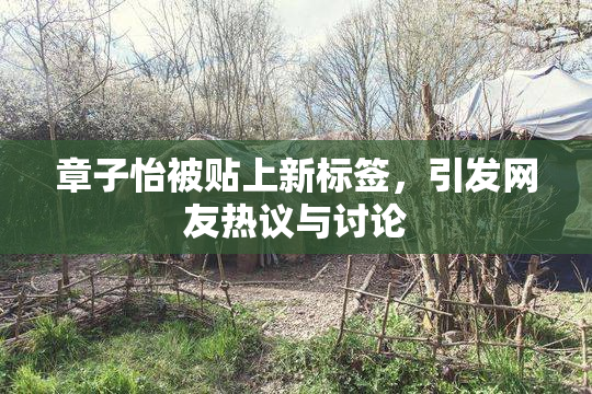 章子怡被贴上新标签，引发网友热议与讨论