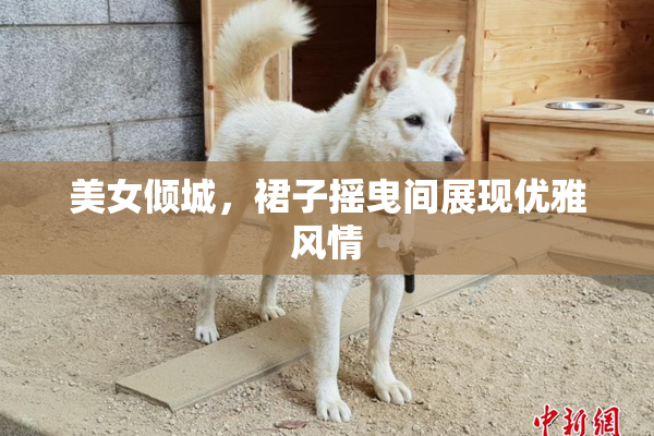 美女倾城，裙子摇曳间展现优雅风情