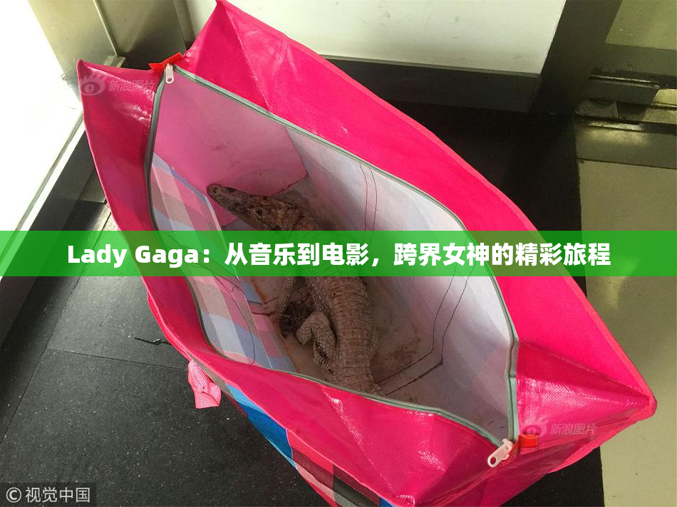 Lady Gaga：从音乐到电影，跨界女神的精彩旅程