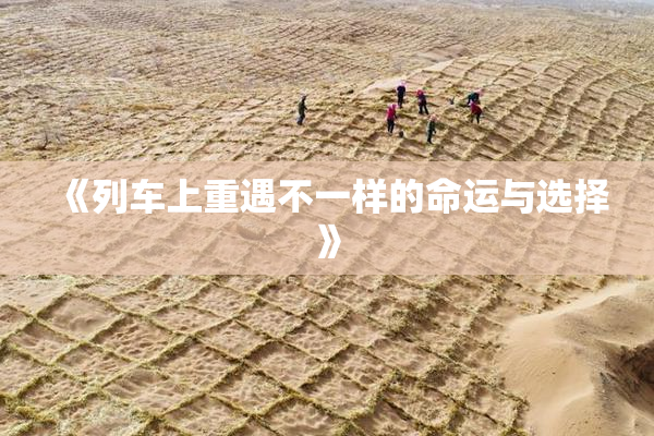 《列车上重遇不一样的命运与选择》