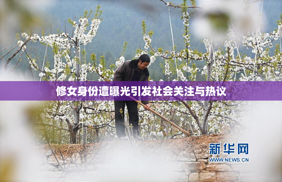 修女身份遭曝光引发社会关注与热议