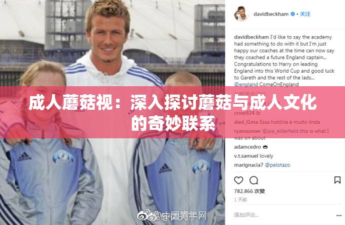 成人蘑菇视：深入探讨蘑菇与成人文化的奇妙联系