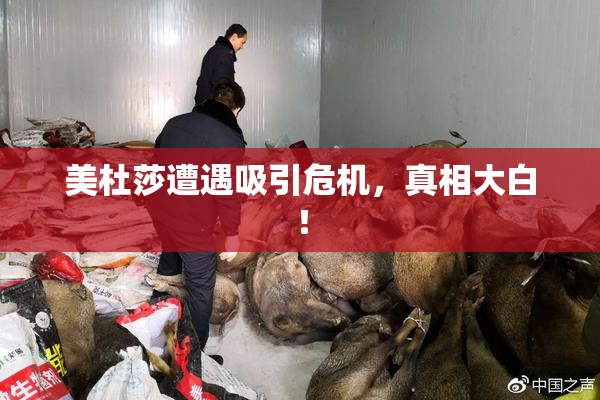 美杜莎遭遇吸引危机，真相大白！