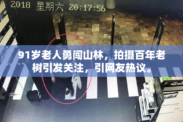 91岁老人勇闯山林，拍摄百年老树引发关注，引网友热议。