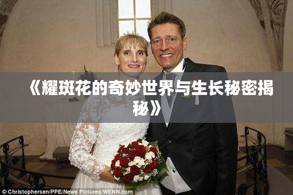 《耀斑花的奇妙世界与生长秘密揭秘》