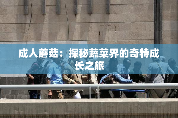 成人蘑菇：探秘蔬菜界的奇特成长之旅