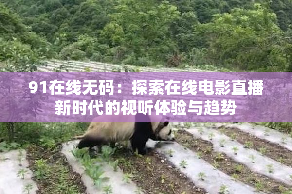 91在线无码：探索在线电影直播新时代的视听体验与趋势