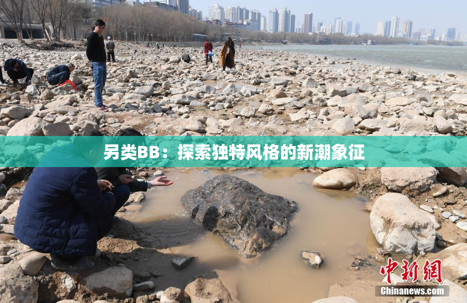 另类BB：探索独特风格的新潮象征