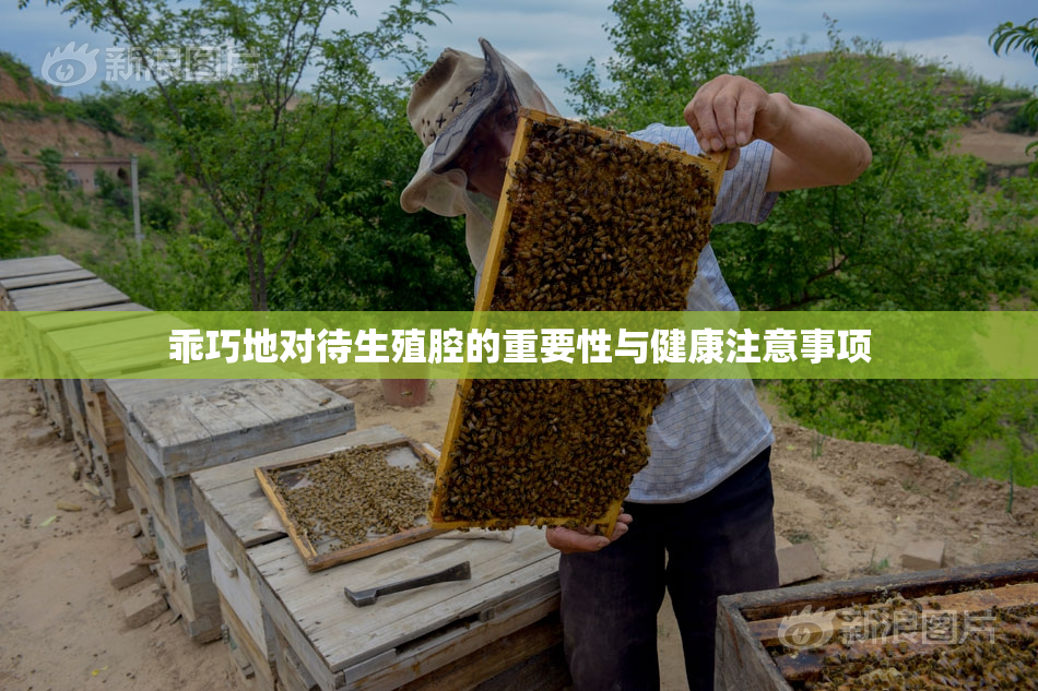 乖巧地对待生殖腔的重要性与健康注意事项