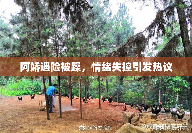 阿娇遇险被躁，情绪失控引发热议
