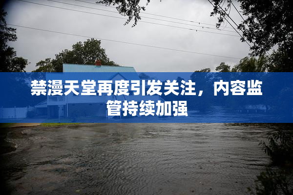 禁漫天堂再度引发关注，内容监管持续加强
