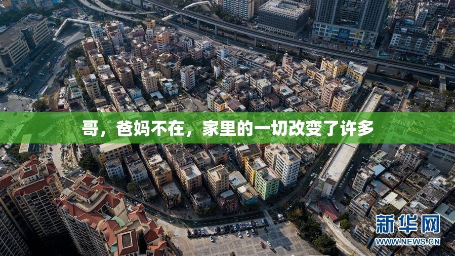 哥，爸妈不在，家里的一切改变了许多