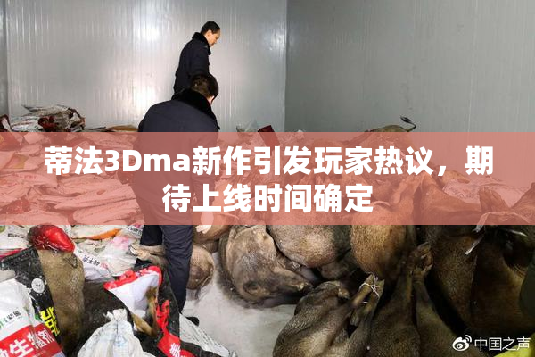 蒂法3Dma新作引发玩家热议，期待上线时间确定