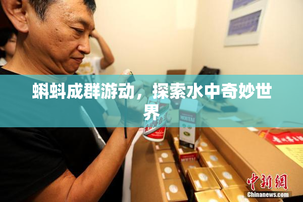 蝌蚪成群游动，探索水中奇妙世界