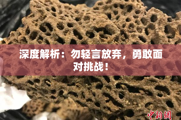 深度解析：勿轻言放弃，勇敢面对挑战！