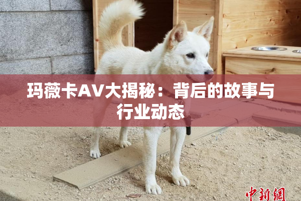 玛薇卡AV大揭秘：背后的故事与行业动态