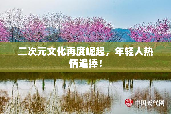 二次元文化再度崛起，年轻人热情追捧！