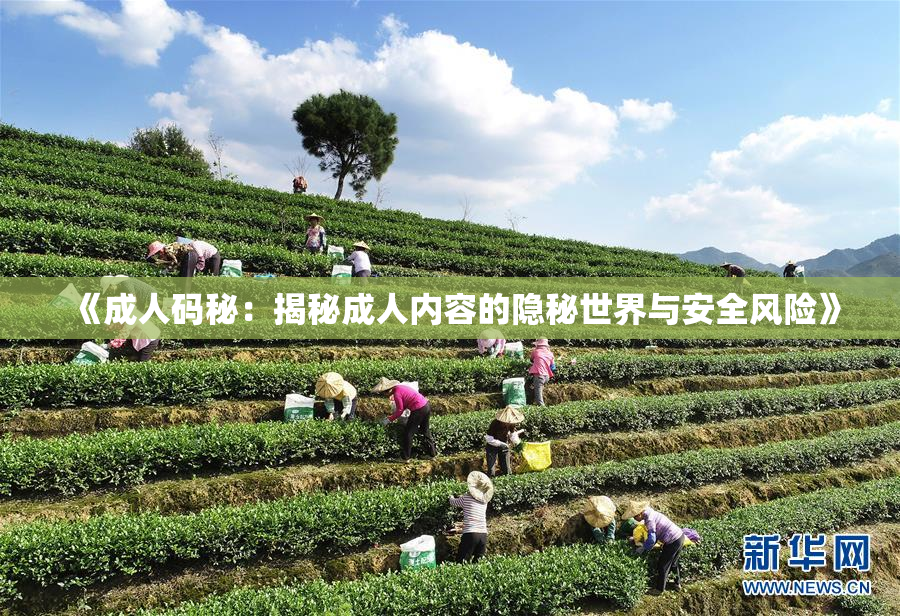 《成人码秘：揭秘成人内容的隐秘世界与安全风险》