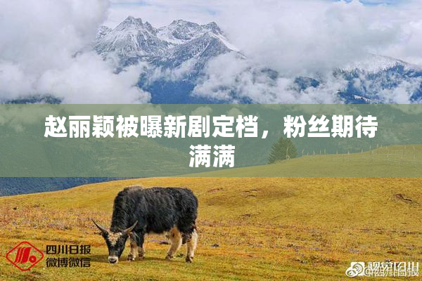 赵丽颖被曝新剧定档，粉丝期待满满