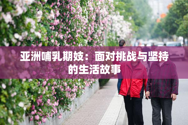 亚洲哺乳期妓：面对挑战与坚持的生活故事